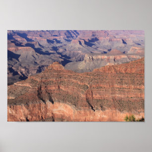 Grand Canyon Posters Poster
