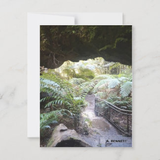 Grand Canyon Postkarte