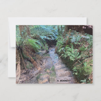 Grand Canyon Postkarte