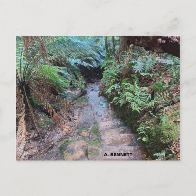 Grand Canyon Postkarte (Vorderseite)