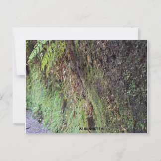 Grand Canyon Postkarte