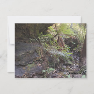 Grand Canyon Postkarte