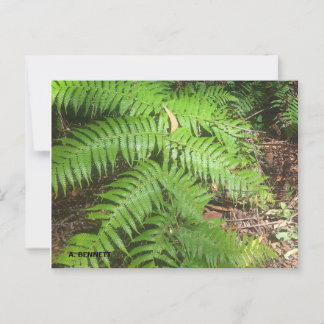 Grand Canyon Postkarte