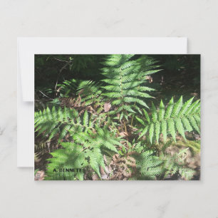 Grand Canyon Postkarte