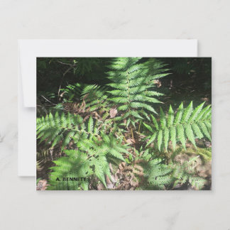 Grand Canyon Postkarte