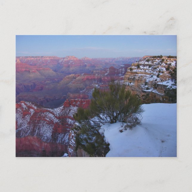 Grand Canyon Snow Postcard Postkarte (Vorderseite)