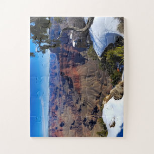 Grand Canyon South Rim mit Schneepuzzle