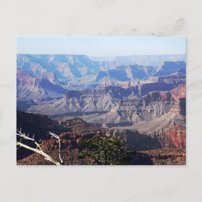 Grand Canyon - South Rim Postkarte (Vorderseite)