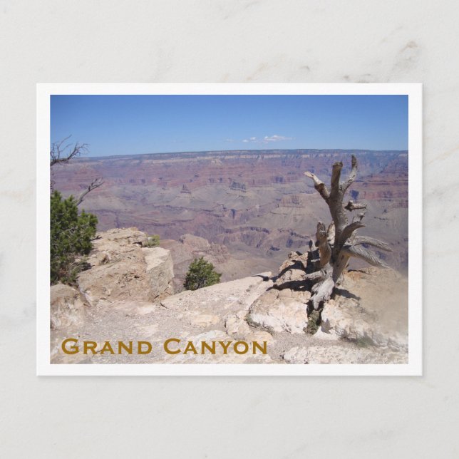 Grand Canyon, South Rim Postkarte (Vorderseite)
