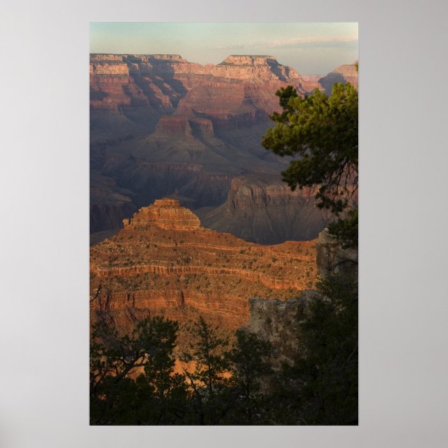 Grand Canyon View Poster (Vorne)