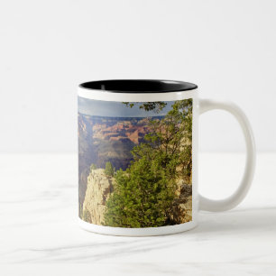 Grand Canyon von der Südumrandung bei Sonnenunterg Zweifarbige Tasse
