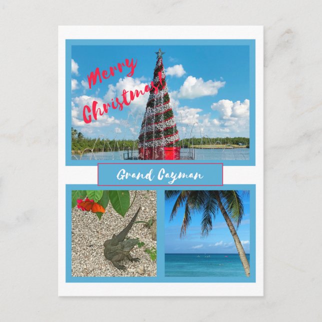 Grand Cayman Christmas Feiertagspostkarte (Vorderseite)