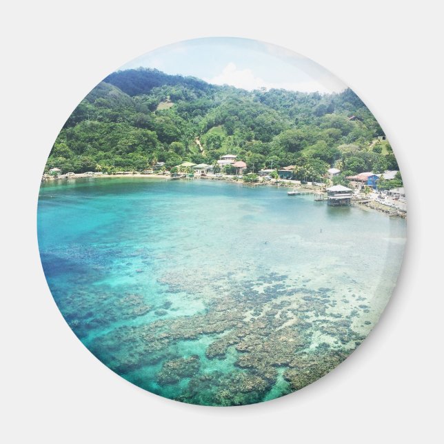 Grand Cayman Coral Reef Magnet (Vorne)