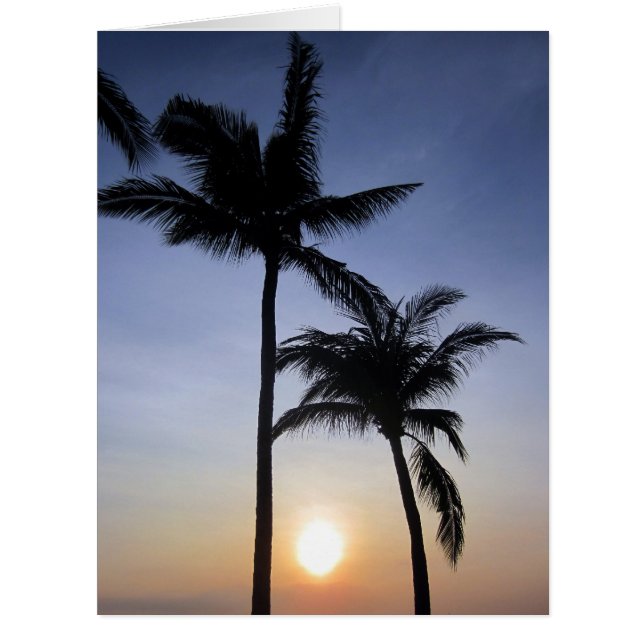 grand coucher de soleil de palmes (Devant)