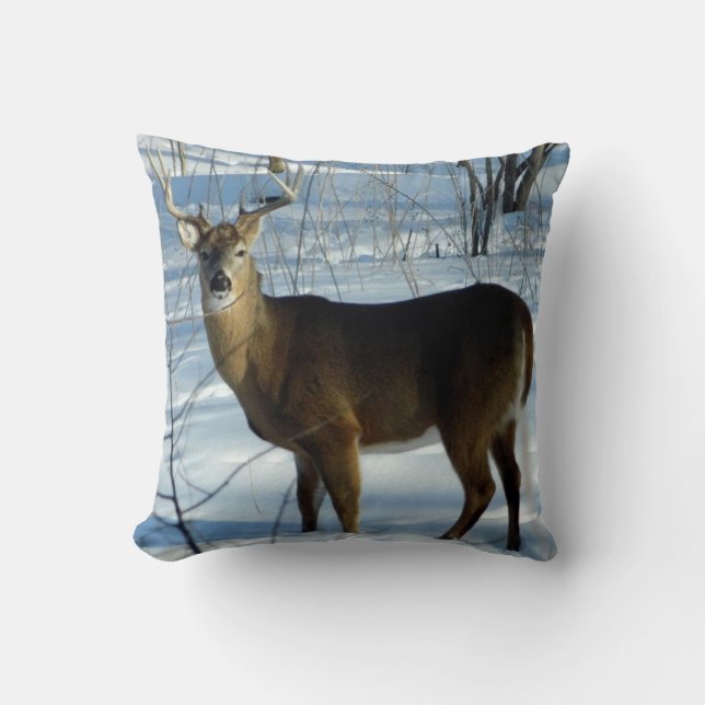 Grand coussin de cerf de Virginie (hiver) (Recto)