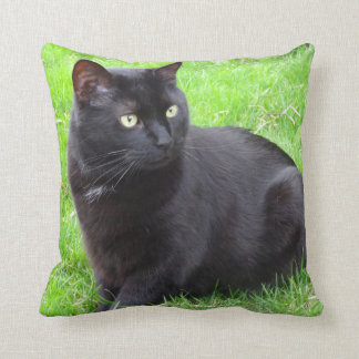 Grand coussin de chat noir