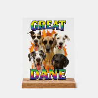 Grand Danois Copie