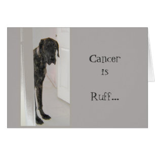 Grand Danse de chien animal Divorce Cancer Je suis