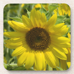 Grand Dessous de verre de liège tournesol