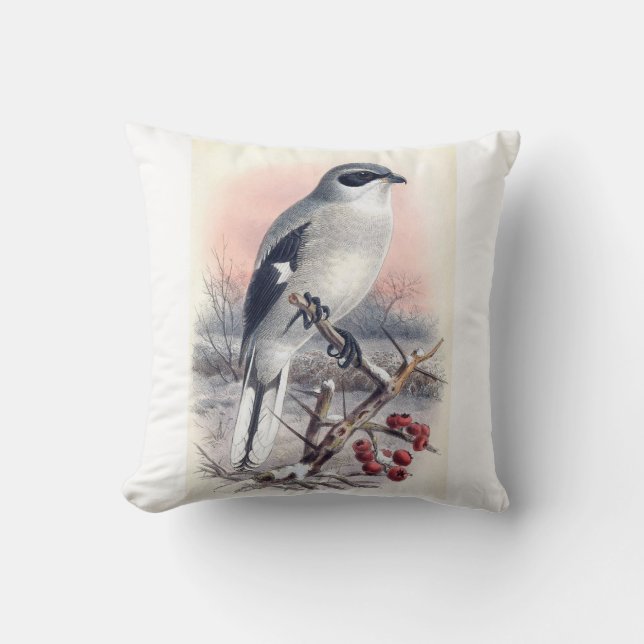Grand grièche grise Coussin d'oiseaux (Recto)