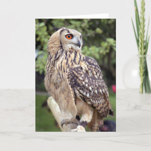 Grand hibou sur des cartes de voeux de barrière