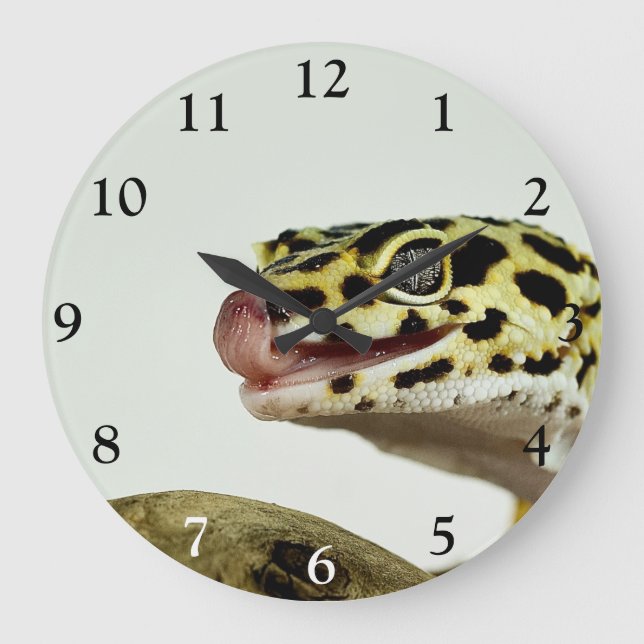Grand horloge Leopard Gecko (Recto)