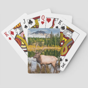 Grand Jeu De Cartes En Plein Air