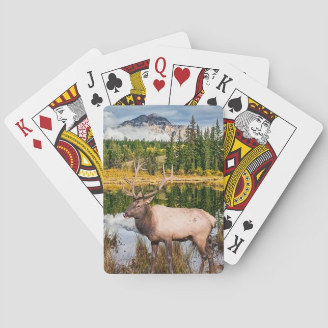 Grand Jeu De Cartes En Plein Air (dos)