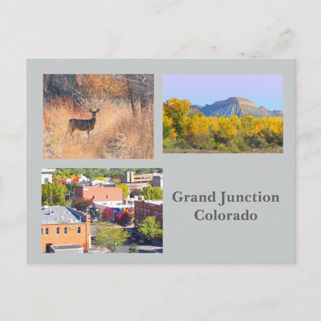 Grand Junction, Colorado Template Travel Postcard Postkarte (Vorderseite)