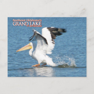 Grand Lake Oklahoma carte postale pélican1