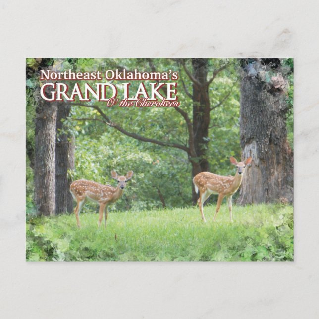 Grand Lake Oklahoma Postkarte Hirsch (Vorderseite)