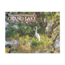 Grand Lake Oklahoma Postkartenegret