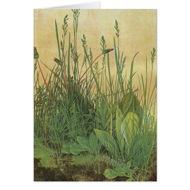 Grand morceau de gazon (Devant)