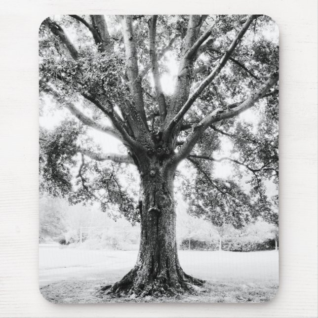 Grand Mousepad (Vorne)