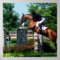 Grand Prix Horse Poster