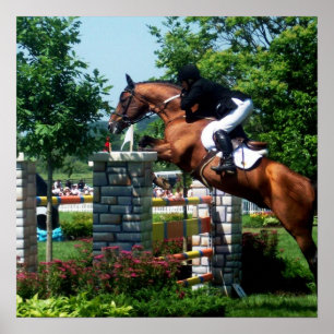 Grand- Prixpferdeplakat Poster