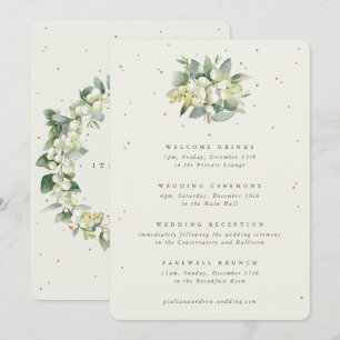 Grand Programme de Mariage Crème et Eucalyptus ave