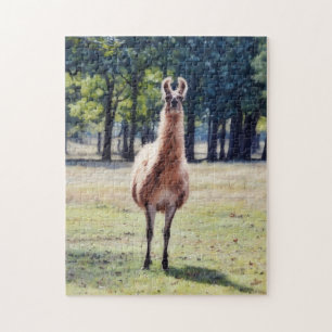 Grand Puzzle Animalier Lama Flou