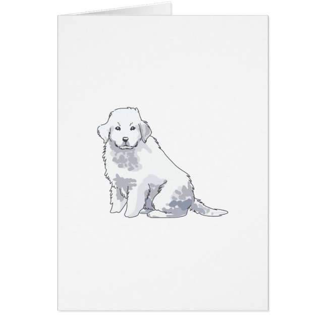 GRAND PYRENEE POP (Devant)