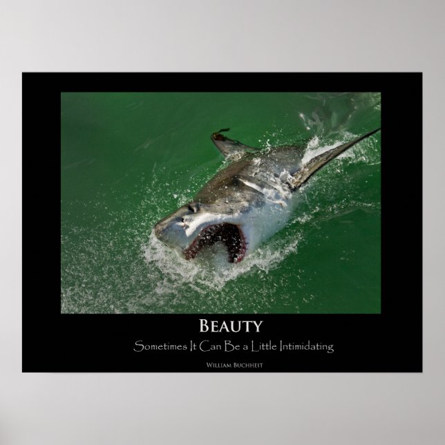 Grand requin blanc "Beauté" Poster (Devant)