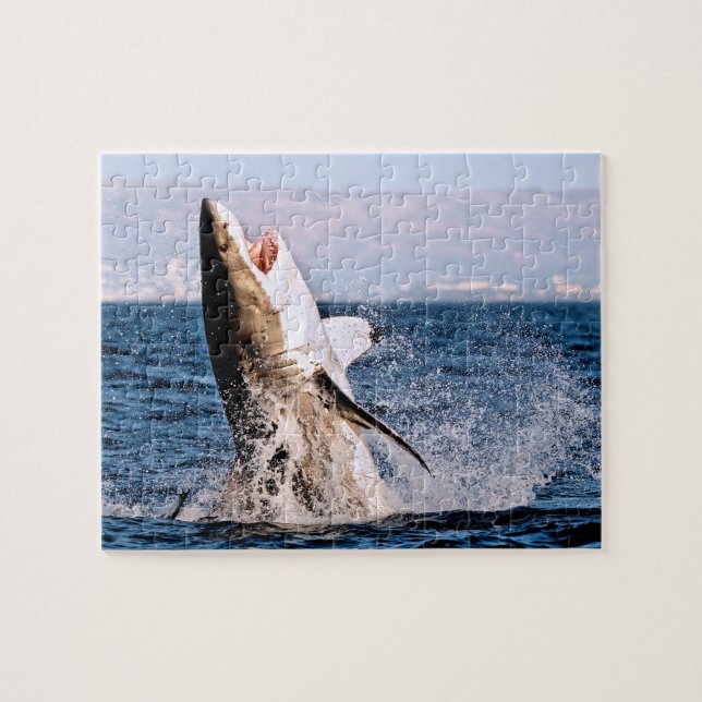 Grand requin blanc, Puzzle (Horizontal)
