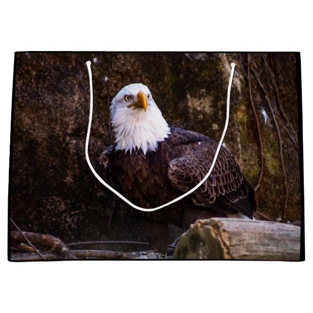 Grand Sac Cadeau Aigle de Bald (Devant)