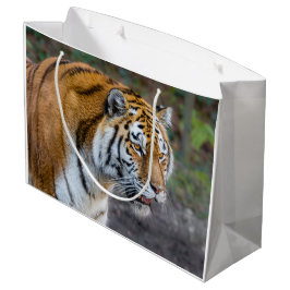 Grand Sac Cadeau Amur tiger