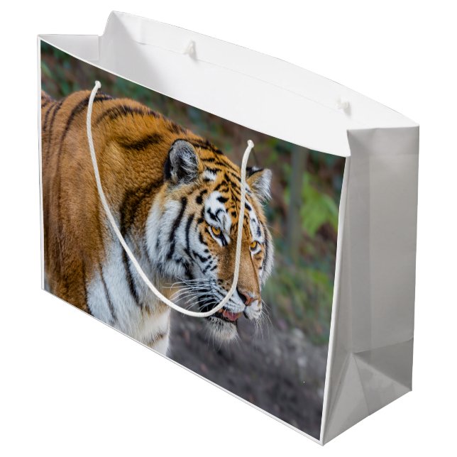 Grand Sac Cadeau Amur tiger (Dos Angle)