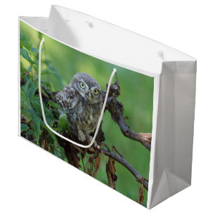 Grand Sac Cadeau Athene noponctua
