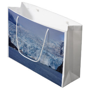 Grand Sac Cadeau Beauté congelée