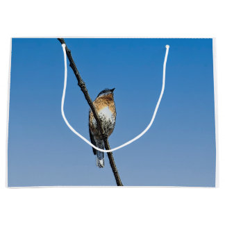 Grand Sac Cadeau Bluebird sur la branche