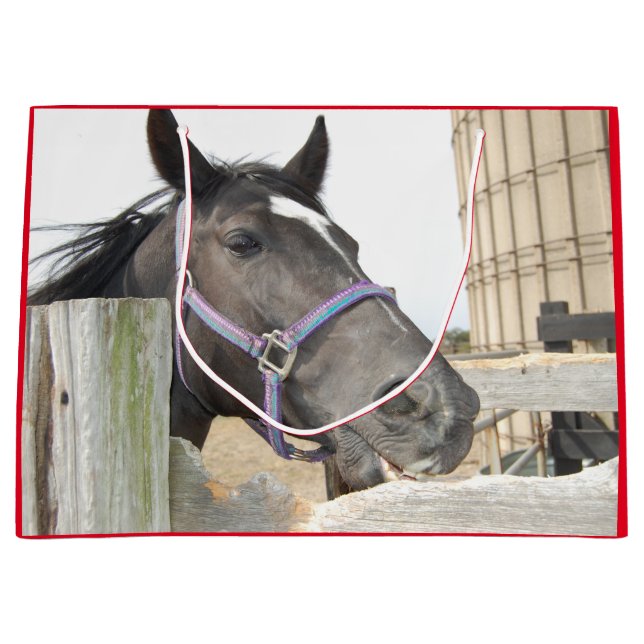 Grand Sac Cadeau Cheval mignon mâcher sur une clôture (Devant)