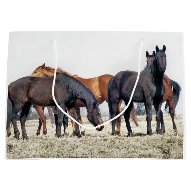 GRAND SAC CADEAU CHEVAUX (Devant)