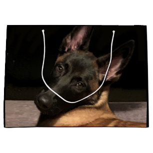 Grand Sac Cadeau Chien Malinois belge